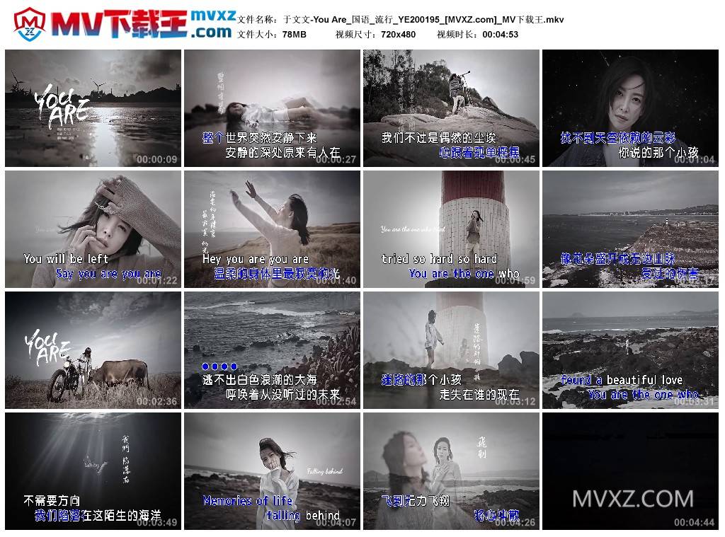 于文文-You Are_国语_流行_YE200195